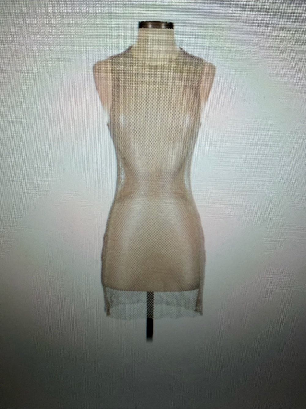 DA VEAMOR Sleeveless Fishnet Tunic Top in Neutral SILVER,one size, NWT - Picture 5 of 6